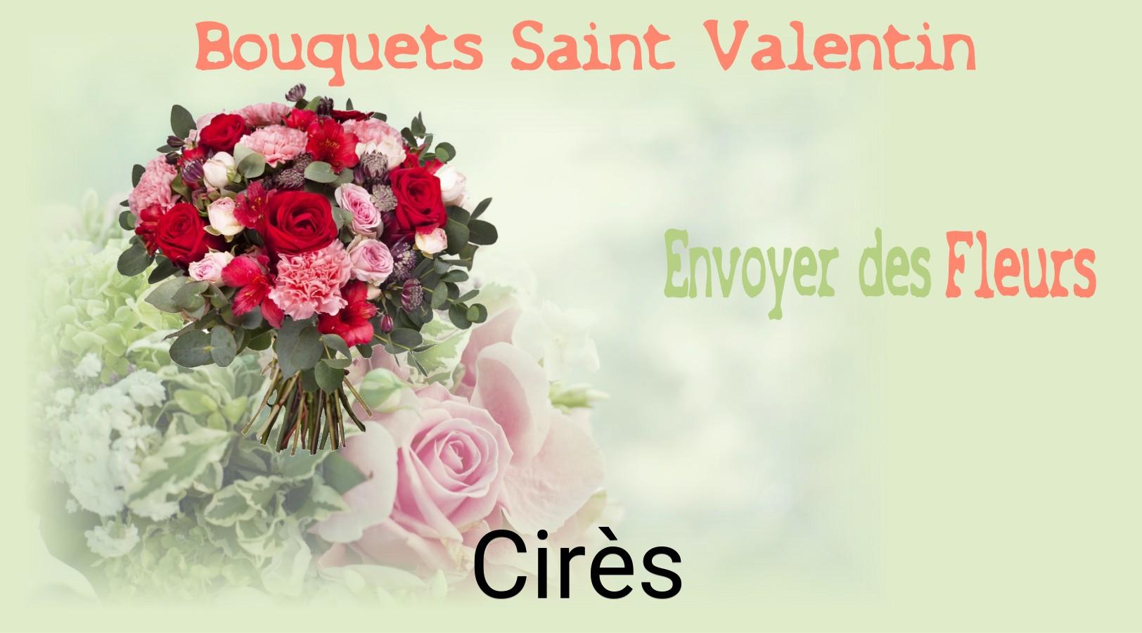 Roses de Saint-Valentin livrées à Cirès
