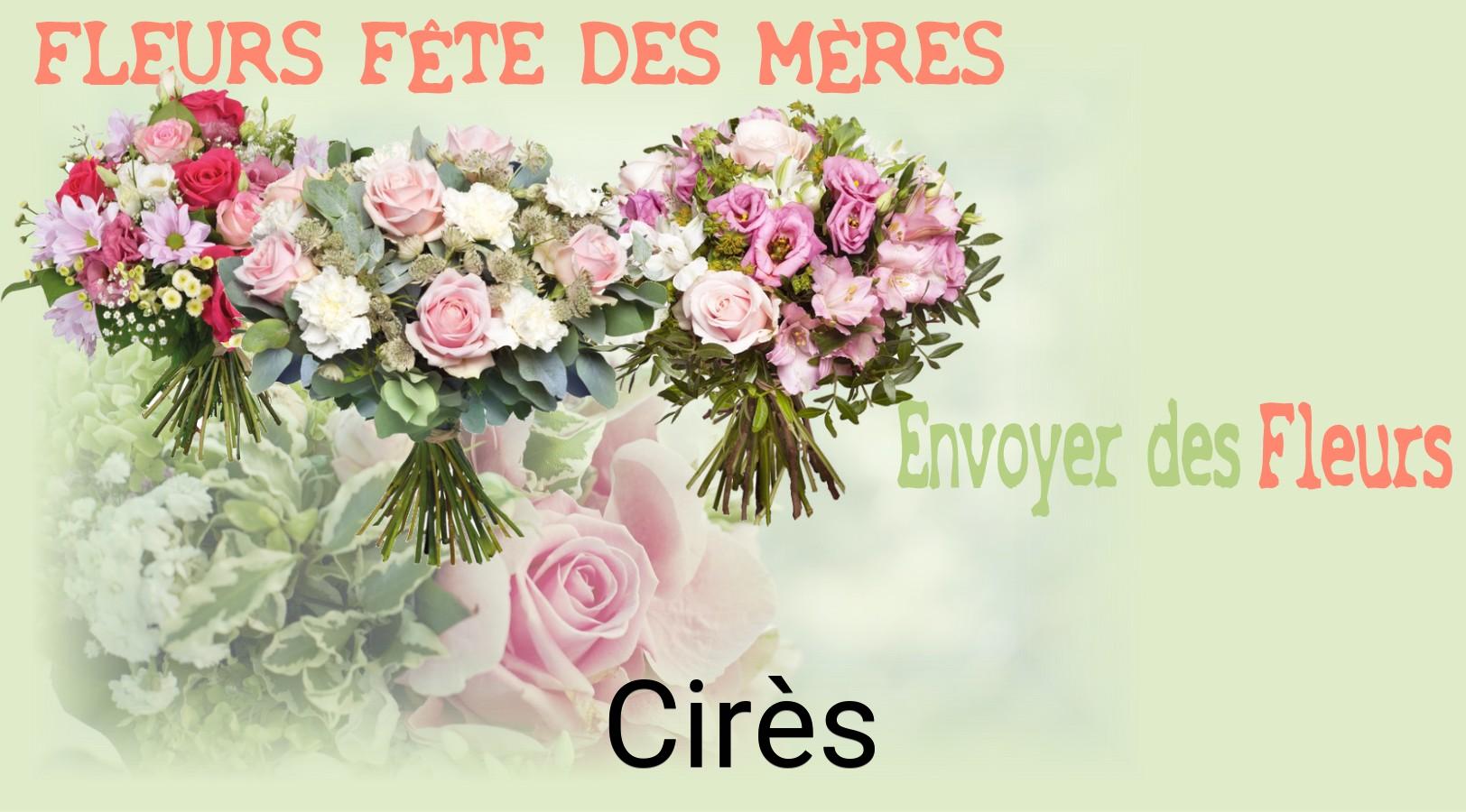 Bouquet de Fête des Mères livré à Cirès