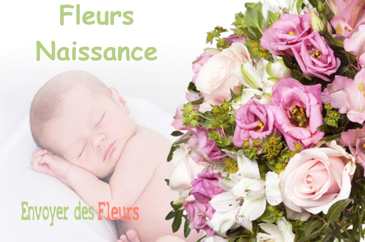 lIVRAISON FLEURS NAISSANCE à CIRES